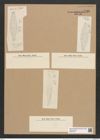 Rhaphoneis hungarica Pant. (de-Toni-Nr.: Genus 78, Species 2833) Zeichnungen Sammlung Grunow Nr. 5790 (NHMW-BOT-W0374194)
